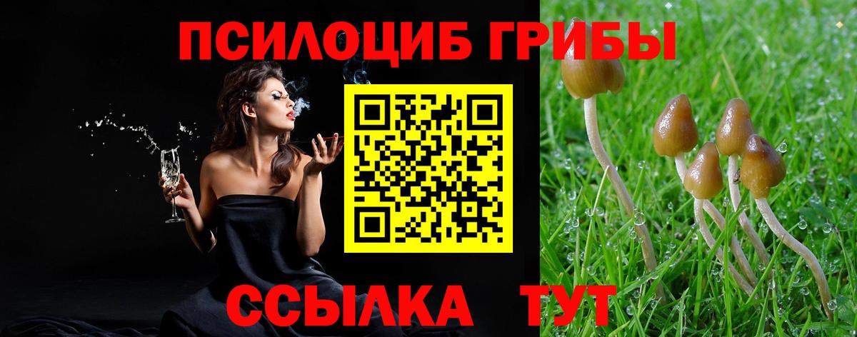 Минеральные Воды  Галлюциногенные грибы ЛСД  Вход с VPN  Псилоцибиновые грибы мухоморы 